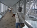 大鳴門橋の渦の道